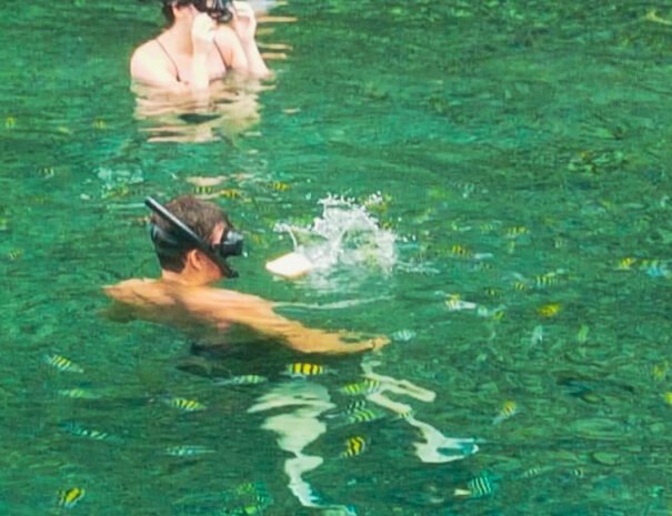 our-toy-boat-tours-stlucia-wildlife-nature-card